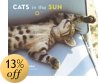 Cats in the Sun 2005 Calendar